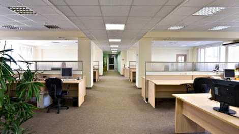 disponibilizari-birouri-bp