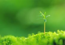 25 de ani de Mediu: 11 ministrii – 1 scena – Opera Nationala Bucuresti