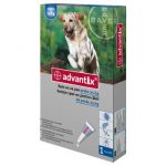 Farmacie veterinara online pentru caini pe PetsMania