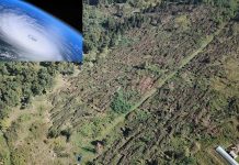 MII DE HECTARE DE PĂDURE AFECTATE DE FENOMENELE METEOROLOGICE EXTREME DIN ULTIMA SĂPTĂMÂNĂ