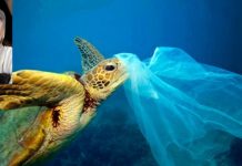ADIO PUNGI DE PLASTIC!