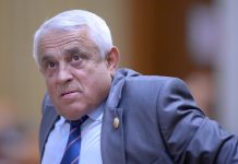 Ministrul Daea promite purcei