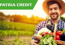 Finanţarea în mediul rural şi microcreditarea au adus pentru Patria Credit IFN rezultate şi profit în creştere în 2018