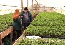Sectorul agricol se confruntă cu presiunea culturilor slabe și cu presiunea retailerilor asupra prețurilor