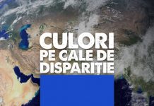Oprim degradarea naturii în inima verde a Europei