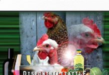 “DISPONIBILITATILE DE CONSUM ALE POPULATIEI IN ANUL 2018”.