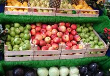 COOPERATIVA ȚARA MEA ANALIZA PIATA DE LEGUME BALANȚA COMERCIALĂ LEGUME