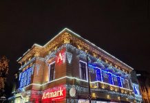 Cum a performat piața românească de artă în 2020?