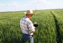 Listen, Learn, Deliver – noua perspectivă ADAMA AGRICULTURAL SOLUTIONS