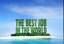 BestJobs: În noiembrie, angajatorii au scos la bătaie cu 5% mai multe locuri de muncă decât în aceeași perioadă a anului trecut. Candidații din București, Timiș, Iași și Brașov au fost cei mai activi în căutarea unui nou job, în ultima lună