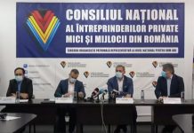 PLANUL NAȚIONAL DE REDRESARE ȘI REZILIENȚĂ (PNRR) PUNCTUL DE VEDERE AL MEDIULUI DE AFACERI