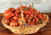 Cooperativa Țara Mea, un alt nivel de lucru: department de export pentru produsele românești