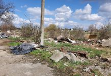 FIN-ECO a marcat ”Ziua Pământului” printr-o serie de acțiuni de protecție a mediului