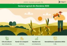 STUDIU KEYSFIN: 2021, AN DE REVENIRE PENTRU AGRICULTURA ROMÂNEASCĂ