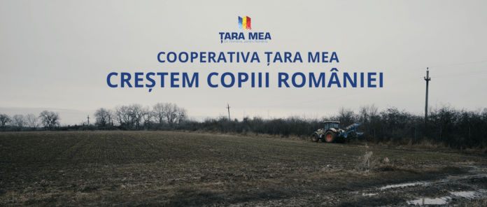 FF526D14-EBF4-449F-A4FE-2FD05D7EA972