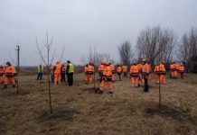 Wienerberger continuă acțiunile de plantare pentru un viitor curat