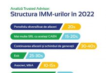 Analiză: Cum se modifică structura IMM-urilor odată cu ieşirea din pandemie