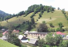 UNIVERSITATEA DE VARA BUCIUM