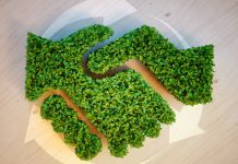 Susținut de Abris, GreenGroup achiziționează dezvoltatorul ERP SIGAD