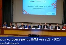 FONDURI EUROPENE PENTRU IMM-URI 2021-2027 REGIUNEA SUD MUNTENIA