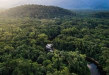 Investigație WWF: piața lemnului de foc s-a blocat, ilegalitățile au explodat, oamenii simpli plătesc prețul