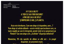 WWF, Eco Ruralis și ROMAPIS lansează o petiție națională pentru salvarea albinelor și a altor polenizatori din România