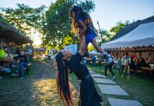 Lineup complet la Jazz in the Park 11