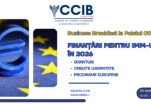 FINANȚĂRI PENTRU IMM-URI, ÎN 2026: GRANTURI, CREDITE GARANTATE, PROGRAME EUROPENE